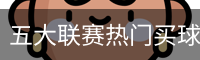 五大联赛热门买球的APP推荐 - 网上买球十大正规平台